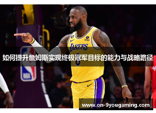 如何提升詹姆斯实现终极冠军目标的能力与战略路径